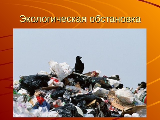 Экологическая обстановка 