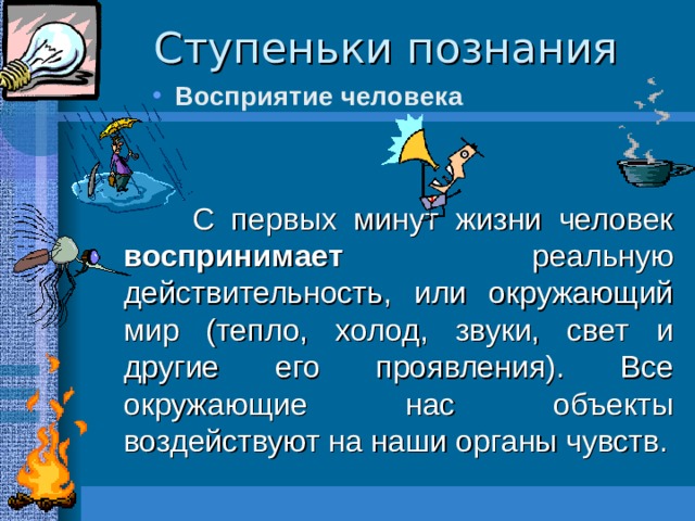 Ступеньки познания Восприятие человека    С первых минут жизни человек воспринимает реальную действительность, или окружающий мир (тепло, холод, звуки, свет и другие его проявления). Все окружающие нас объекты воздействуют на наши органы чувств. 