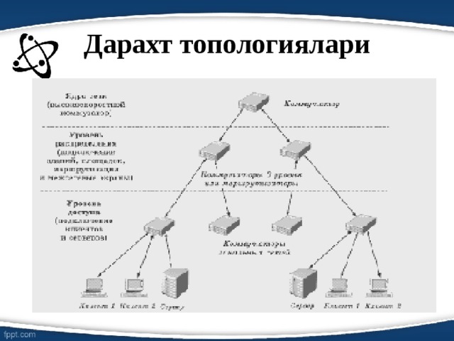 Дарахт топологиялари 