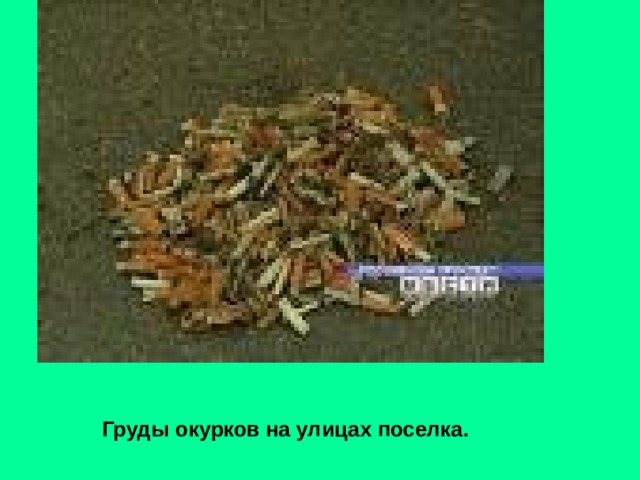 Груды окурков на улицах поселка. Груды окурков на улицах поселка. 