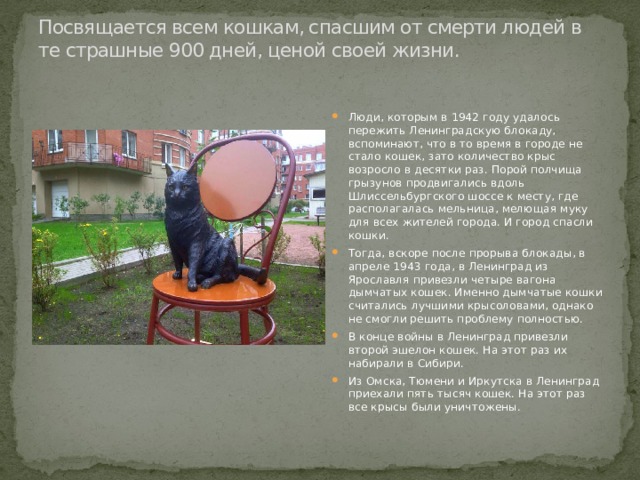 Посвящается всем кошкам, спасшим от смерти людей в те страшные 900 дней, ценой своей жизни.   Люди, которым в 1942 году удалось пережить Ленинградскую блокаду, вспоминают, что в то время в городе не стало кошек, зато количество крыс возросло в десятки раз. Порой полчища грызунов продвигались вдоль Шлиссельбургского шоссе к месту, где располагалась мельница, мелющая муку для всех жителей города. И город спасли кошки. Тогда, вскоре после прорыва блокады, в апреле 1943 года, в Ленинград из Ярославля привезли четыре вагона дымчатых кошек. Именно дымчатые кошки считались лучшими крысоловами, однако не смогли решить проблему полностью. В конце войны в Ленинград привезли второй эшелон кошек. На этот раз их набирали в Сибири.  Из Омска, Тюмени и Иркутска в Ленинград приехали пять тысяч кошек. На этот раз все крысы были уничтожены. 