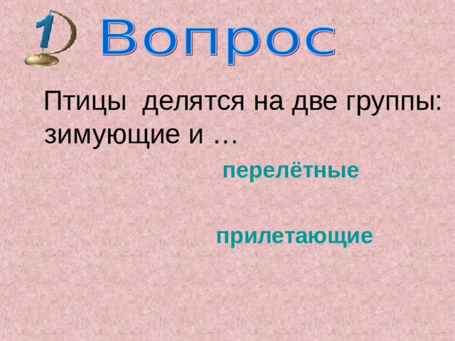  Птицы делятся на две группы: зимующие и …  перелётные  прилетающие 