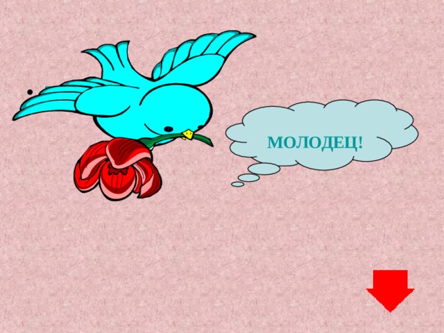 Проверь себя МОЛОДЕЦ! 