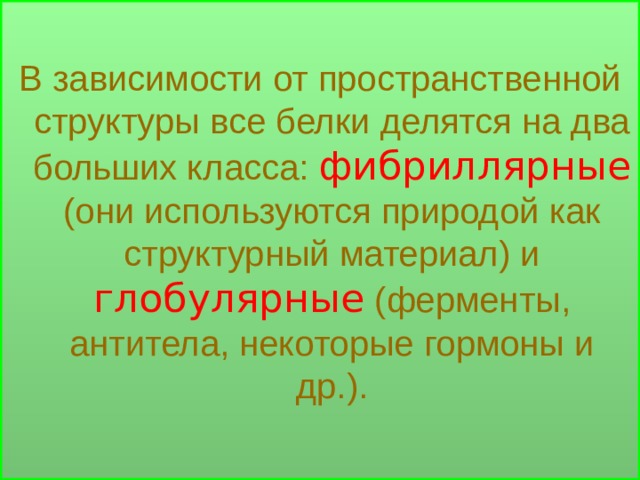 В зависимости от пространственной структуры все белки делятся на два  больших класса:  фибриллярные (они используются природой  как структурный материал) и  глобулярные  (ферменты,  антитела, некоторые гормоны и  др.). 