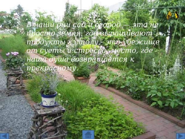 В наши дни сад и огород — это не просто земля, где выращивают продукты к столу,- это убежище от суеты и стресса, место, где наша душа возвращается к прекрасному. 2 