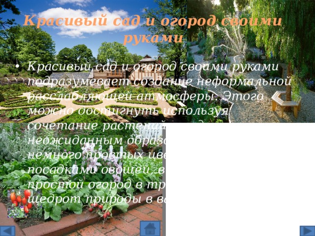 Красивый сад и огород своими руками Красивый сад и огород своими руками подразумевает создание неформальной расслабляющей атмосферы. Этого можно достигнуть используя сочетание растений в саду самым неожиданным образом. Добавив немного простых цветов рядом с посадками овощей, вы превратите простой огород в триумф красот и щедрот природы в вашем саду. 
