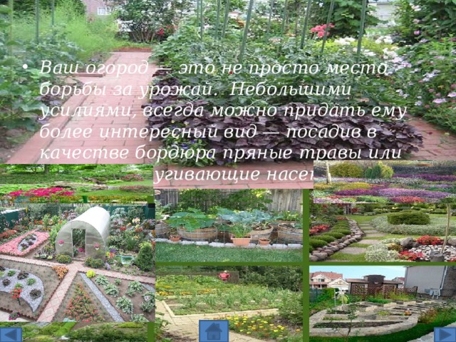 Используйте любой уголок вашего огорода как цветник.   Ваш огород — это не просто место борьбы за урожай.  Небольшими усилиями, всегда можно придать ему более интересный вид — посадив в качестве бордюра пряные травы или цветы, отпугивающие насекомых. 2 
