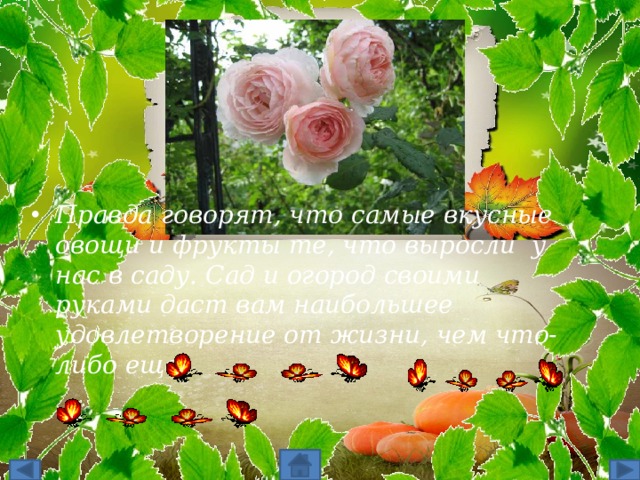 Правда говорят, что самые вкусные овощи и фрукты те, что выросли  у нас в саду. Сад и огород своими руками даст вам наибольшее удовлетворение от жизни, чем что-либо еще. 2 