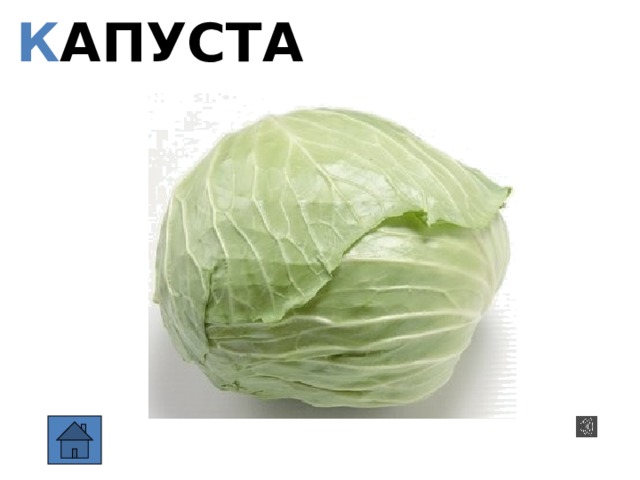 К АПУСТА  