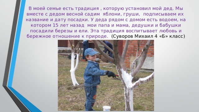 В моей семье есть традиция , которую установил мой дед. Мы вместе с дедом весной садим яблони, груши, подписываем их название и дату посадки. У деда рядом с домом есть водоем, на котором 15 лет назад мои папа и мама, дедушки и бабушки посадили березы и ели. Эта традиция воспитывает любовь и бережное отношение к природе. (Суворов Михаил 4 «Б» класс) 