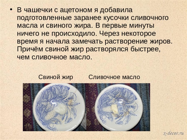 В чашечки с ацетоном я добавила подготовленные заранее кусочки сливочного масла и свиного жира. В первые минуты ничего не происходило. Через некоторое время я начала замечать растворение жиров. Причём свиной жир растворялся быстрее, чем сливочное масло. Свиной жир Сливочное масло 