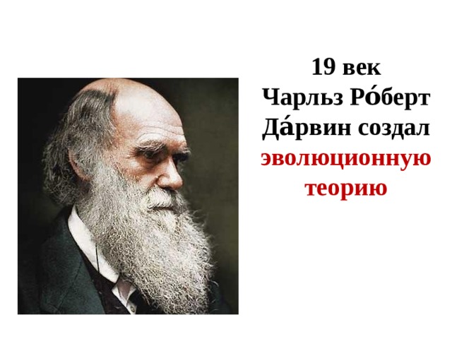 19 век  Чарльз Ро́берт Да́рвин создал эволюционную теорию 