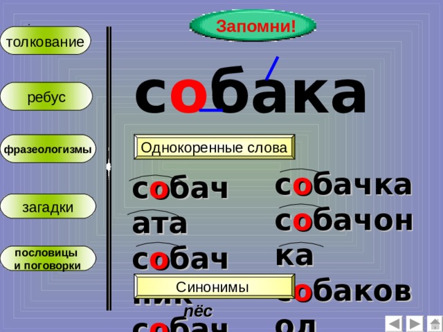 Запомни! :  толкование с о бака ребус Однокоренные слова фразеологизмы с о бачка с о бачонка с о баковод с о бачата с о бачник с о бачий загадки пословицы и поговорки Синонимы пёс  