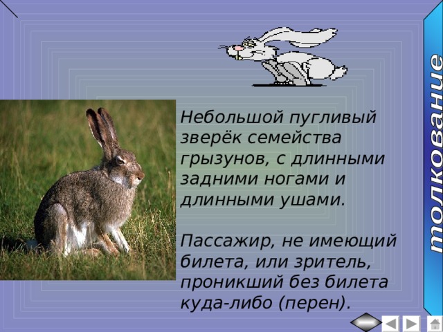 Небольшой пугливый зверёк семейства грызунов, с длинными задними ногами и длинными ушами.  Пассажир, не имеющий билета, или зритель, проникший без билета куда-либо (перен). 