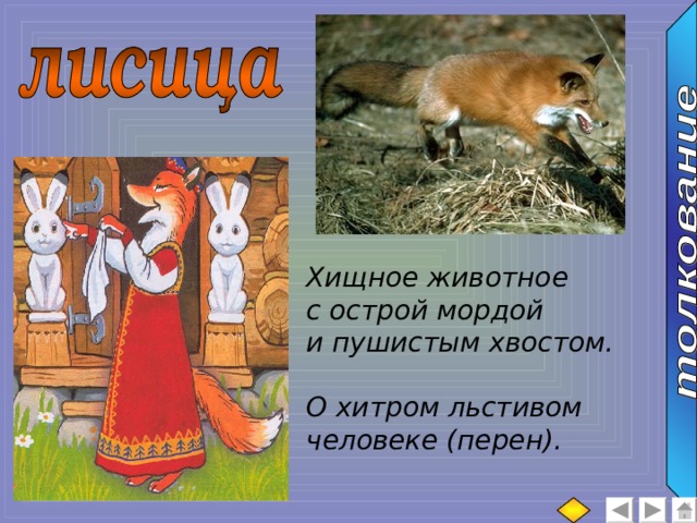 Хищное животное с острой мордой и пушистым хвостом.  О хитром льстивом человеке (перен). 