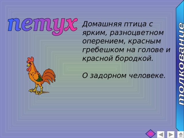 Домашняя птица с ярким, разноцветном оперением, красным гребешком на голове и красной бородкой.  О задорном человеке. 
