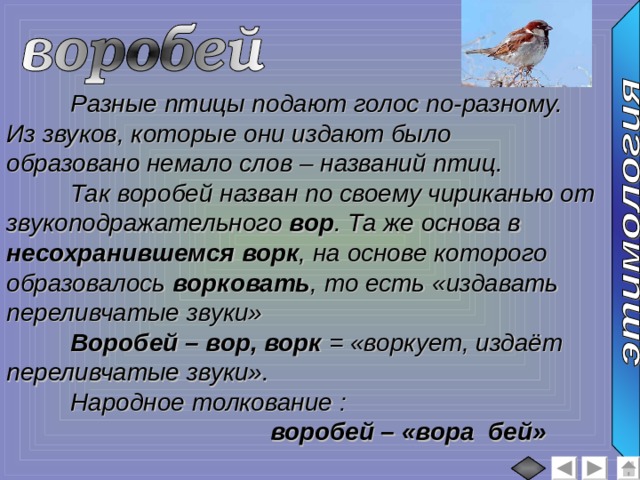  Разные птицы подают голос по-разному. Из звуков, которые они издают было образовано немало слов – названий птиц.  Так воробей назван по своему чириканью от звукоподражательного вор . Та же основа в несохранившемся ворк , на основе которого образовалось ворковать , то есть «издавать переливчатые звуки»  Воробей – вор, ворк = «воркует, издаёт переливчатые звуки».  Народное толкование :  воробей – «вора бей»  