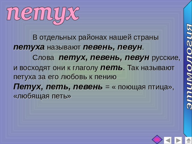  В отдельных районах нашей страны петуха называют певень, певун .  Слова петух, певень, певун русские, и восходят они к глаголу петь . Так называют петуха за его любовь к пению Петух, петь, певень = « поющая птица», «любящая петь» 
