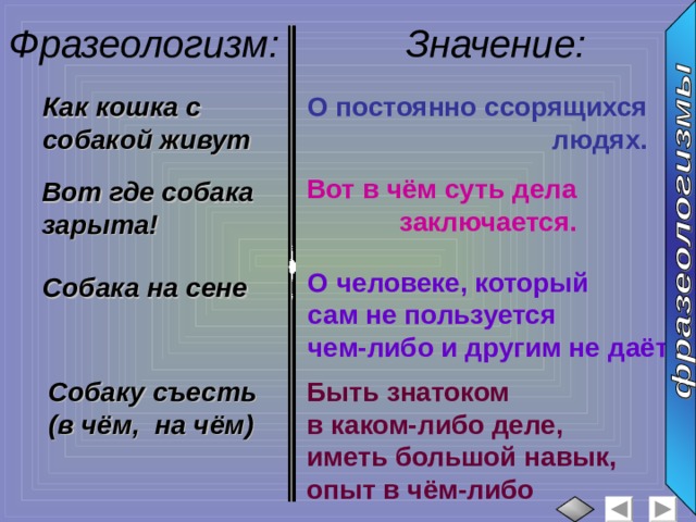 Фразеологизм: Значение: :  Как кошка с собакой живут О постоянно ссорящихся людях. Вот в чём суть дела  заключается. Вот где собака зарыта! О человеке, который сам не пользуется чем-либо и другим не даёт. Собака на сене Собаку съесть (в чём, на чём) Быть знатоком в каком-либо деле, иметь большой навык, опыт в чём-либо 