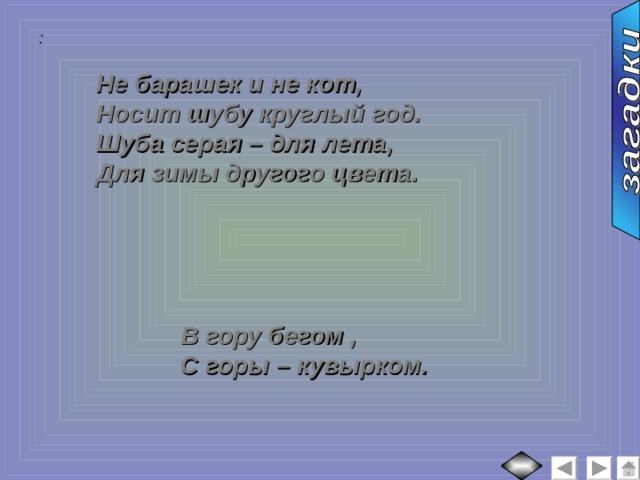 :  Не барашек и не кот, Носит шубу круглый год. Шуба серая – для лета, Для зимы другого цвета. В гору бегом , С горы – кувырком. 