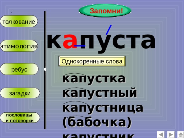 Запомни! :  толкование к а пуста этимология Однокоренные слова ребус капустка капустный капустница (бабочка) капустник (пирог) загадки пословицы и поговорки 