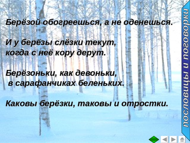 Берёзой обогреешься, а не оденешься.  И у берёзы слёзки текут, когда с неё кору дерут.  Берёзоньки, как девоньки,  в сарафанчиках беленьких.  Каковы берёзки, таковы и отростки. 