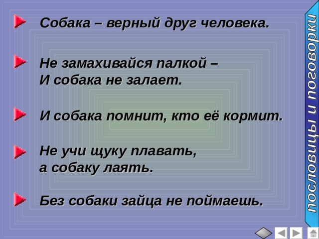 Собака – верный друг человека. Не замахивайся палкой – И собака не залает. И собака помнит, кто её кормит. Не учи щуку плавать, а собаку лаять. Без собаки зайца не поймаешь. 