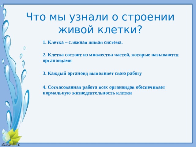 Что мы узнали о строении живой клетки? 1. Клетка – сложная живая система. 2. Клетка состоит из множества частей, которые называются органоидами 3. Каждый органоид выполняет свою работу 4. Согласованная работа всех органоидов обеспечивает нормальную жизнедеятельность клетки 