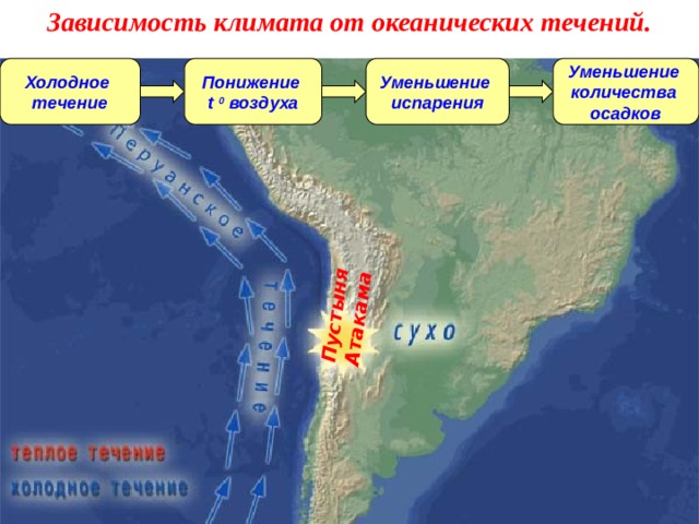 Зависимость климата от океанических течений. Пустыня Атакама Холодное Понижение Уменьшение Уменьшение течение t 0 воздуха испарения количества осадков 
