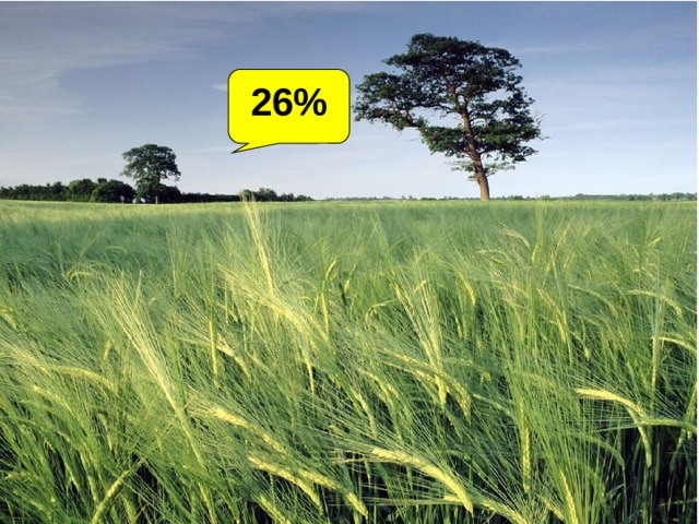 26% 