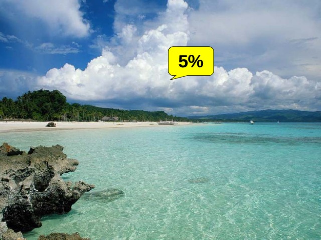 5% 
