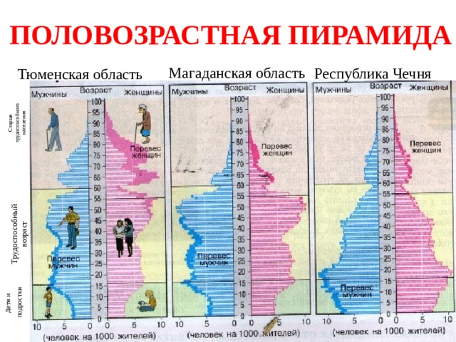 ПОЛОВОЗРАСТНАЯ ПИРАМИДА Д ети и  подростки Трудоспособный возраст Старше трудоспособного населения Магаданская область Республика Чечня Тюменская область 