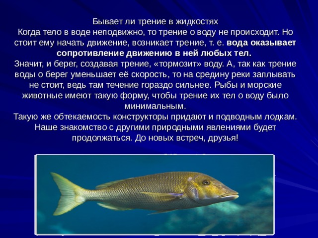 Бывает ли трение в жидкостях  Когда тело в воде неподвижно, то трение о воду не происходит. Но стоит ему начать движение, возникает трение, т. е.  вода оказывает сопротивление движению в ней любых тел.   Значит, и берег, создавая трение, «тормозит» воду. А, так как трение воды о берег уменьшает её скорость, то на средину реки заплывать не стоит, ведь там течение гораздо сильнее. Рыбы и морские животные имеют такую форму, чтобы трение их тел о воду было минимальным.  Такую же обтекаемость конструкторы придают и подводным лодкам.  Наше знакомство с другими природными явлениями будет продолжаться. До новых встреч, друзья! 