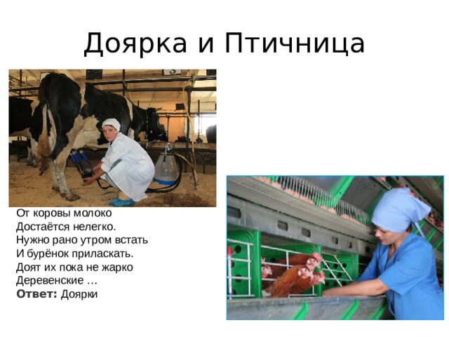 Доярка и Птичница От коровы молоко  Достаётся нелегко.  Нужно рано утром встать  И бурёнок приласкать.  Доят их пока не жарко  Деревенские …  Ответ:  Доярки 
