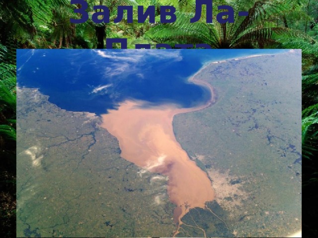 Залив Ла-Плата 
