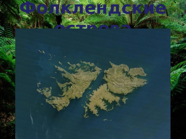 Фолклендские острова 