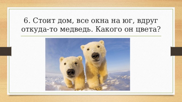 6. Стоит дом, все окна на юг, вдруг откуда-то медведь. Какого он цвета? 