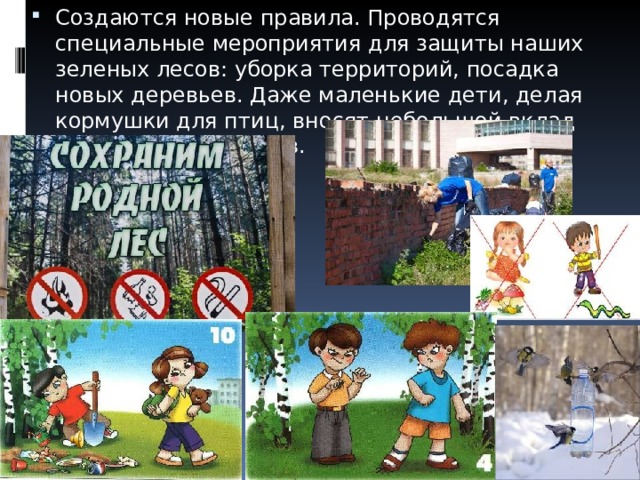 Создаются новые правила. Проводятся специальные мероприятия для защиты наших зеленых лесов: уборка территорий, посадка новых деревьев. Даже маленькие дети, делая кормушки для птиц, вносят небольшой вклад для улучшения лесов. 