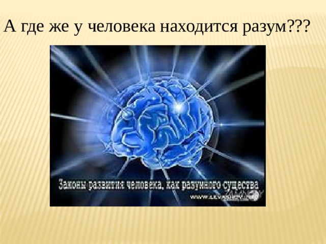 А где же у человека находится разум??? 