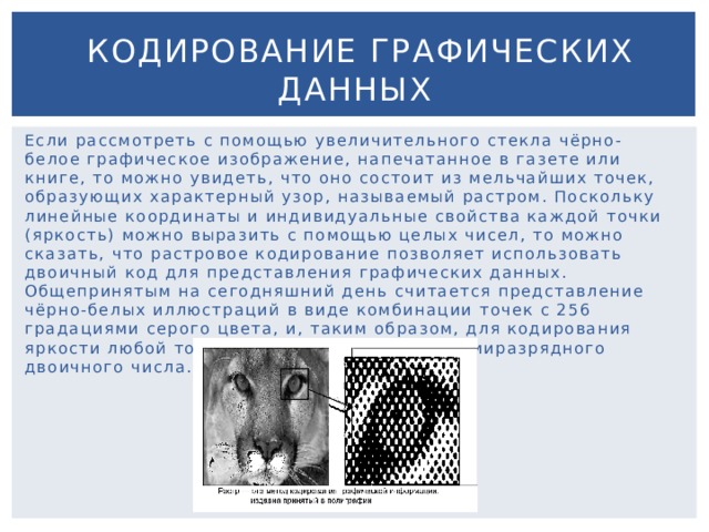 Кодирование графических данных Если рассмотреть с помощью увеличительного стекла чёрно-белое графическое изображение, напечатанное в газете или книге, то можно увидеть, что оно состоит из мельчайших точек, образующих характерный узор, называемый растром. Поскольку линейные координаты и индивидуальные свойства каждой точки (яркость) можно выразить с помощью целых чисел, то можно сказать, что растровое кодирование позволяет использовать двоичный код для представления графических данных. Общепринятым на сегодняшний день считается представление чёрно-белых иллюстраций в виде комбинации точек с 256 градациями серого цвета, и, таким образом, для кодирования яркости любой точки обычно достаточно восьмиразрядного двоичного числа. 
