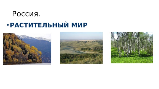 Россия. РАСТИТЕЛЬНЫЙ МИР 