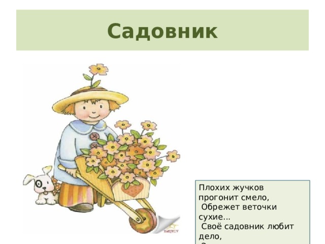 Садовник Плохих жучков прогонит смело,  Обрежет веточки сухие...  Своё садовник любит дело,  Земля и сад - его стихия!  