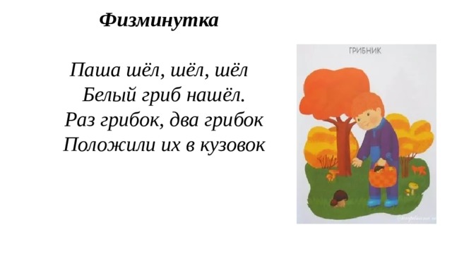 Физминутка   Паша шёл, шёл, шёл    Белый гриб нашёл.    Раз грибок, два грибок    Положили их в кузовок 