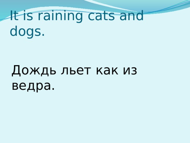 It is raining cats and dogs. Дождь льет как из ведра. 