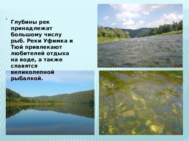. Глубины рек принадлежат большому числу рыб. Реки Уфимка и Тюй привлекают любителей отдыха на воде, а также славятся великолепной рыбалкой. 
