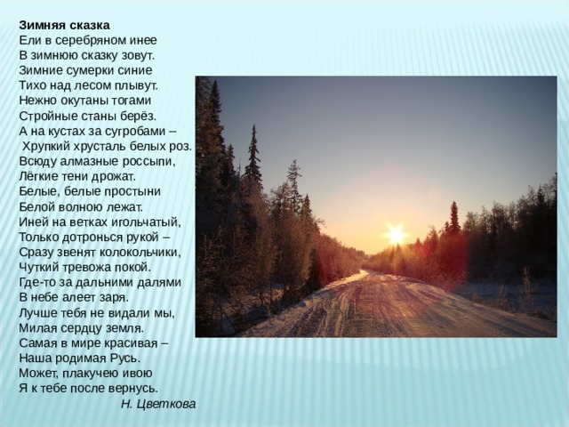 Зимняя сказка Ели в серебряном инее В зимнюю сказку зовут. Зимние сумерки синие Тихо над лесом плывут. Нежно окутаны тогами Стройные станы берёз. А на кустах за сугробами –  Хрупкий хрусталь белых роз. Всюду алмазные россыпи, Лёгкие тени дрожат. Белые, белые простыни Белой волною лежат. Иней на ветках игольчатый, Только дотронься рукой – Сразу звенят колокольчики, Чуткий тревожа покой. Где-то за дальними далями В небе алеет заря. Лучше тебя не видали мы, Милая сердцу земля. Самая в мире красивая – Наша родимая Русь. Может, плакучею ивою Я к тебе после вернусь.  Н. Цветкова  