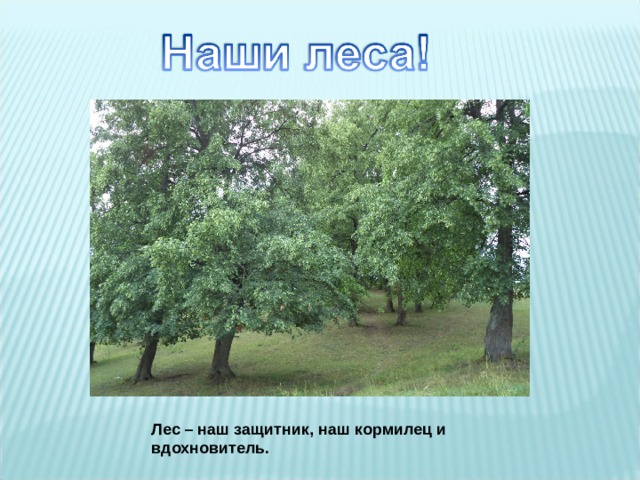  Лес – наш защитник, наш кормилец и вдохновитель. 