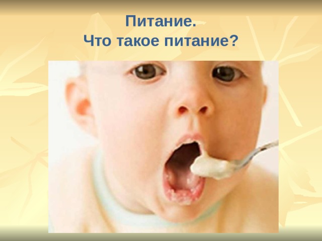 Питание.  Что такое питание?  Питание – это процесс поглощения пищи.
