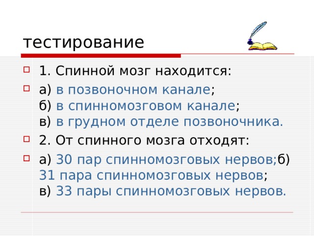 в позвоночном канале в спинномозговом канале в грудном отделе позвоночника. 30 пар спинномозговых нервов; 31 пара спинномозговых нервов 33 пары спинномозговых нервов. 