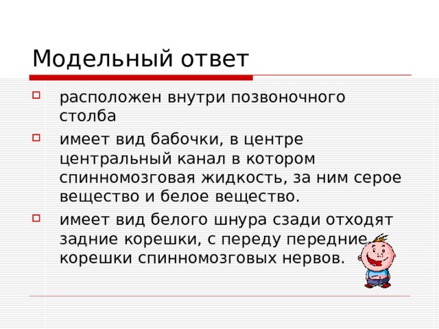 расположен внутри позвоночного столба имеет вид бабочки, в центре центральный канал в котором спинномозговая жидкость, за ним серое вещество и белое вещество. имеет вид белого шнура сзади отходят задние корешки, с переду передние корешки спинномозговых нервов. 